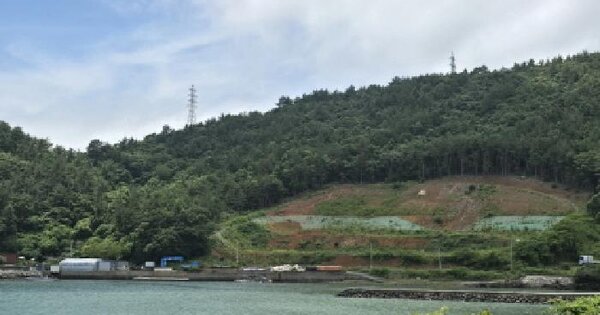 전라남도 강진군 마량면 상흥리 산111  미지정 경매 물건 이미지