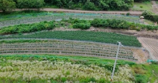 경상남도 합천군 청덕면 소례리 245  미지정 경매 물건 이미지