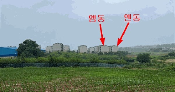 경기도 평택시 팽성읍 노와리 287-152 포레스트하이츠주건축물 엠동 1층101호 미지정 경매 물건 이미지