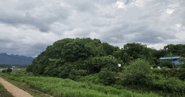 경상남도 창녕군 도천면 도천리 498-1  미지정 경매 물건 이미지