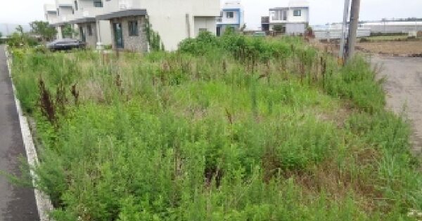 제주특별자치도 제주시 한경면 고산리 257-7  미지정 경매 물건 이미지