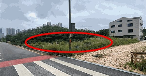 경기도 평택시 고덕동 2443-1  미지정 경매 물건 이미지
