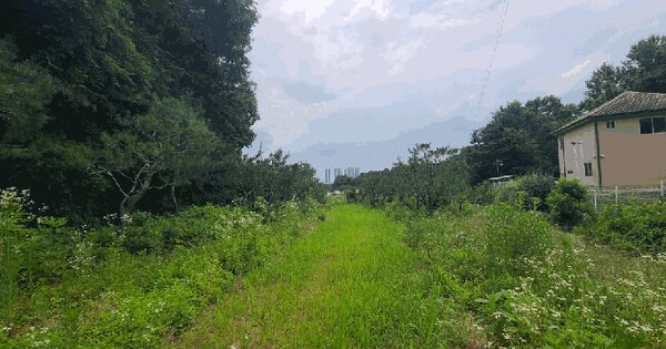 경기도 평택시 고덕면 당현리 338-3  미지정 경매 물건 이미지