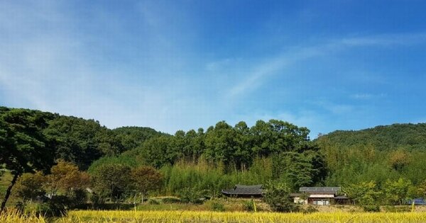 경상북도 성주군 초전면 월곡리 OOO 임야 경매 물건 이미지