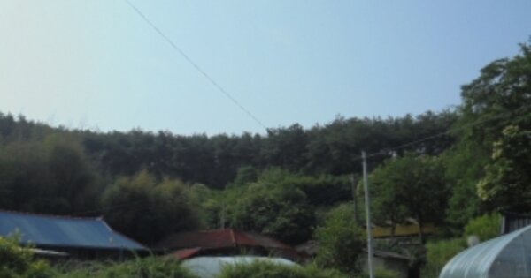 충청남도 부여군 홍산면 정동리 OOOOO 임야 경매 물건 이미지