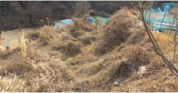 경상남도 거제시 장목면 유호리 OOOOO 답 경매 물건 이미지