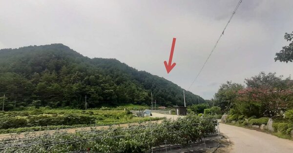 강원도 강릉시 왕산면 목계리 OOOOOO O OOO 임야 경매 물건 이미지