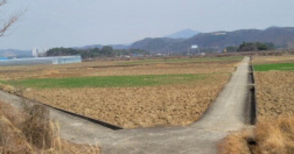 울산광역시 울주군 삼남읍 상천리 OOOOO 답 경매 물건 이미지