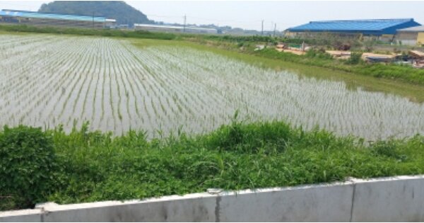 경기도 평택시 청북읍 백봉리 OOO 답 경매 물건 이미지