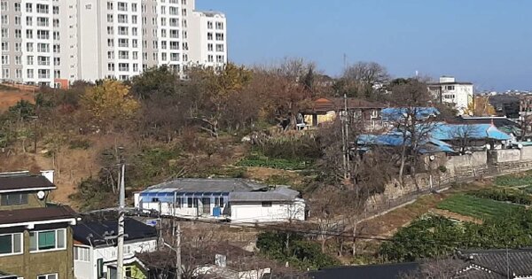 강원도 동해시 발한동 OOOOO 임야 경매 물건 이미지