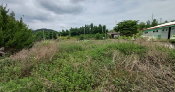 경상남도 고성군 마암면 두호리 OOOOO 전 경매 물건 이미지