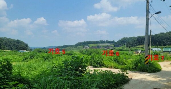 경기도 파주시 적성면 구읍리 OOOOO O OOO 답 경매 물건 이미지