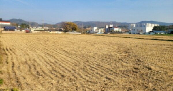 경상북도 포항시 남구 동해면 도구리 OOO 답 경매 물건 이미지