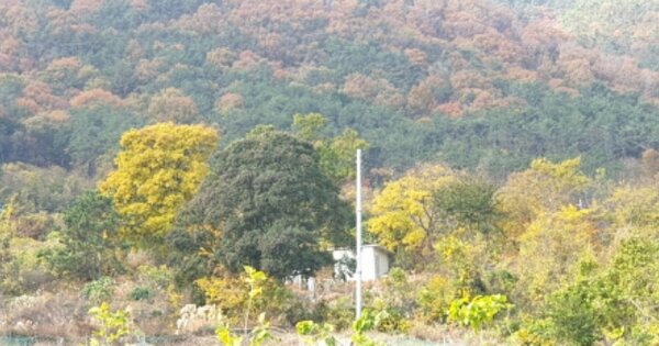 부산광역시 강서구 동선동 OOO 전 경매 물건 이미지