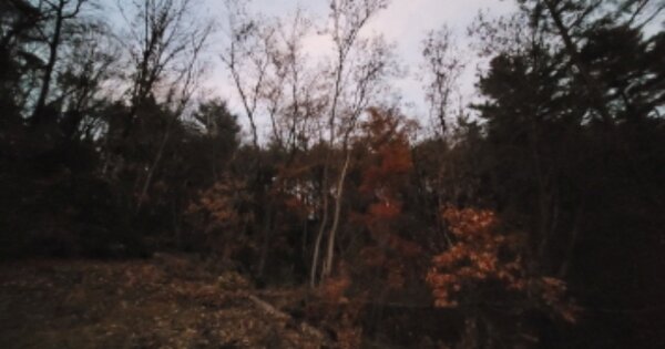 경기도 양평군 용문면 오촌리 OOO 임야 경매 물건 이미지