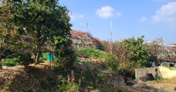 광주광역시 서구 농성동 OOOO 전 경매 물건 이미지