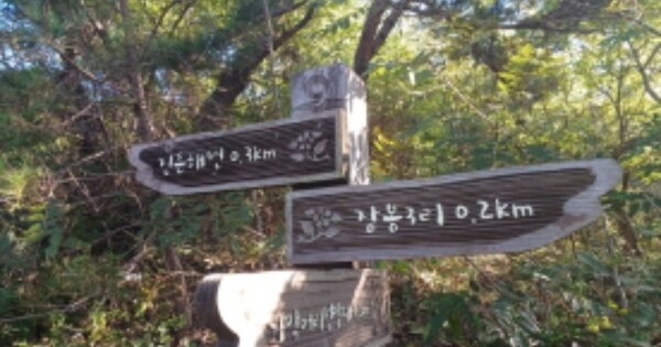 인천광역시 옹진군 북도면 장봉리 OOOO 임야 경매 물건 이미지