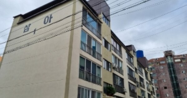 경상북도 경주시 외동읍 입실리 738-3 삼아맨션 비동 OOOOOO O OOO 연립주택 경매 물건 이미지