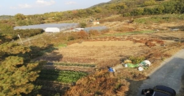 경상북도 김천시 남면 옥산리 OOO 과수원 경매 물건 이미지
