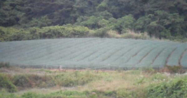전라북도 부안군 변산면 운산리 OOOOOO 전 경매 물건 이미지