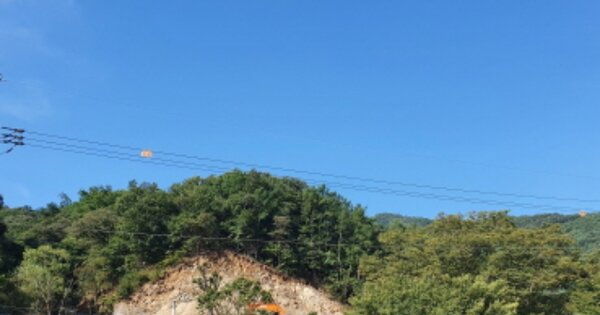 경기도 양평군 강상면 대석리 OOO 임야 경매 물건 이미지