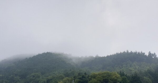 전라남도 보성군 보성읍 봉산리 OOOOOOO O OOO 임야 경매 물건 이미지