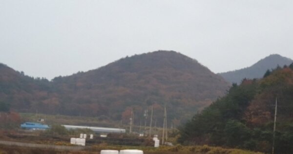 전라남도 고흥군 영남면 양사리 OOOOOO 임야 경매 물건 이미지