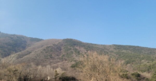 울산광역시 울주군 언양읍 송대리 OOOO 임야 경매 물건 이미지