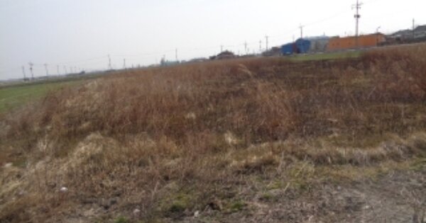 전라북도 김제시 죽산면 연포리 OOOOO 답 경매 물건 이미지