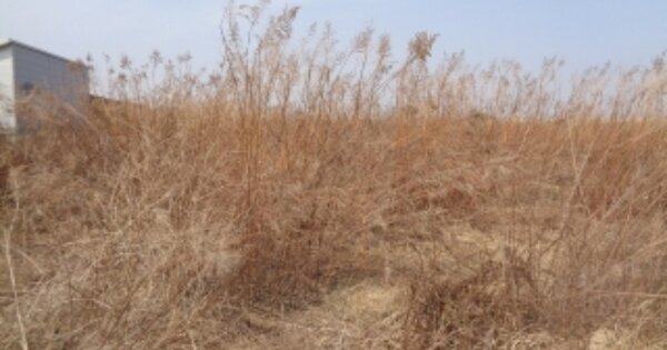 전라북도 김제시 죽산면 연포리 OOOOOO 잡종지 경매 물건 이미지