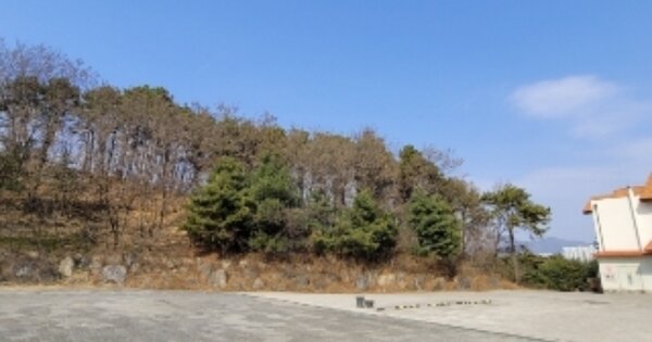 충청북도 청주시 서원구 장암동 OOOOO 임야 경매 물건 이미지