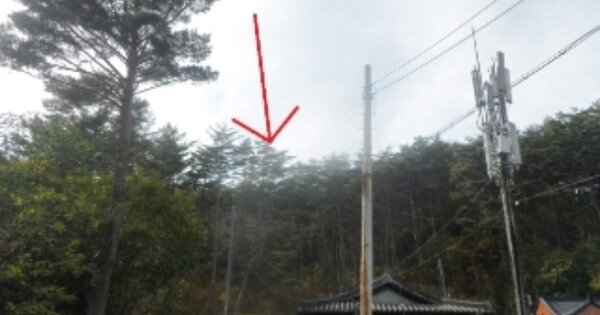 강원도 태백시 철암동 OOO O OOO 전 경매 물건 이미지