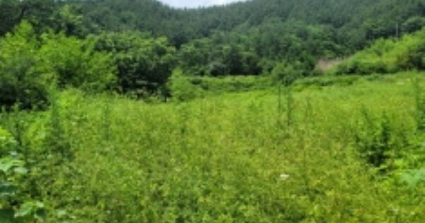 경상남도 통영시 도산면 수월리 OOO 전 경매 물건 이미지