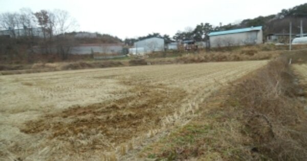 충청남도 당진시 송산면 무수리 OOOOO 답 경매 물건 이미지
