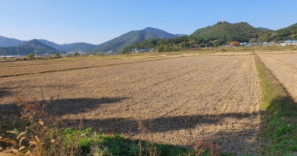 전라남도 장흥군 용산면 금곡리 OOOOO 답 경매 물건 이미지