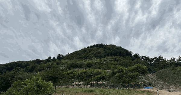 충청남도 서산시 부석면 강수리 산12 임야 경매 물건 이미지