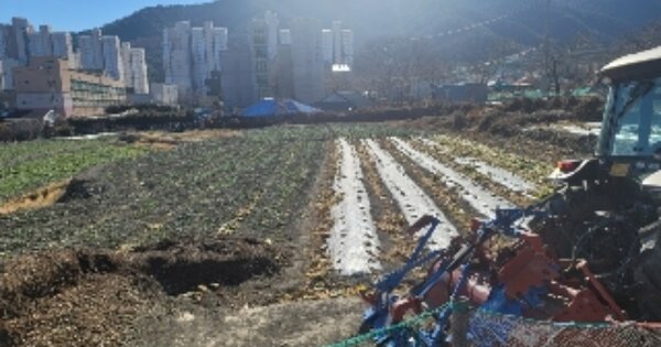 경상남도 통영시 광도면 안정리 OOOOOO O OOO 답 경매 물건 이미지
