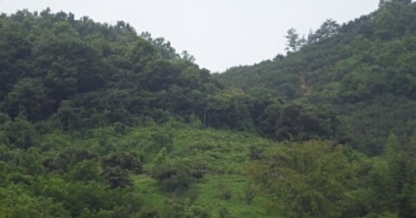 경상남도 밀양시 삼랑진읍 송지리 OOOOO 전 경매 물건 이미지