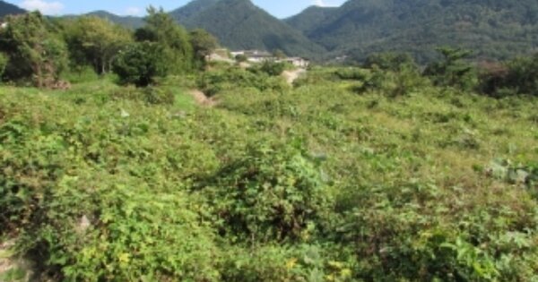 경상남도 창녕군 영산면 구계리 OOOOOO 답 경매 물건 이미지