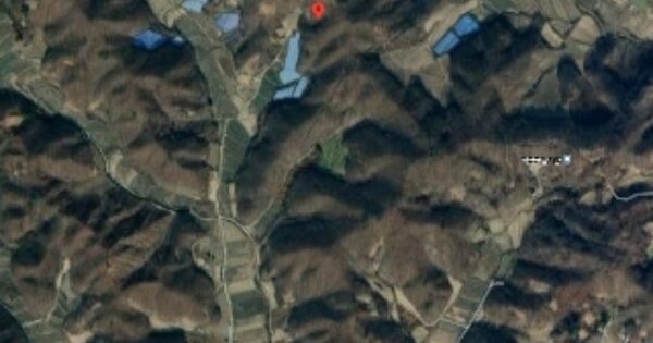 경기도 연천군 백학면 백령리 OOO 임야 경매 물건 이미지