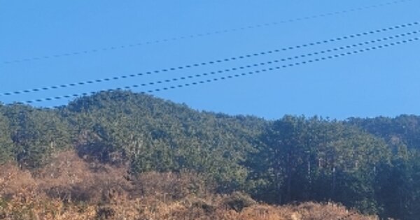 경상남도 거제시 사등면 청곡리 OOOOO 임야 경매 물건 이미지