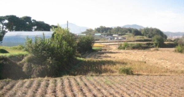 경상북도 예천군 풍양면 공덕리 OOO 전 경매 물건 이미지