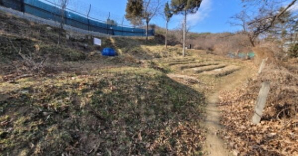경기도 파주시 파주읍 파주리 OOOOO 전 경매 물건 이미지