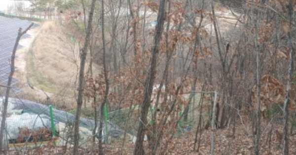 강원도 철원군 갈말읍 문혜리 OOOOO O OOO 잡종지 경매 물건 이미지