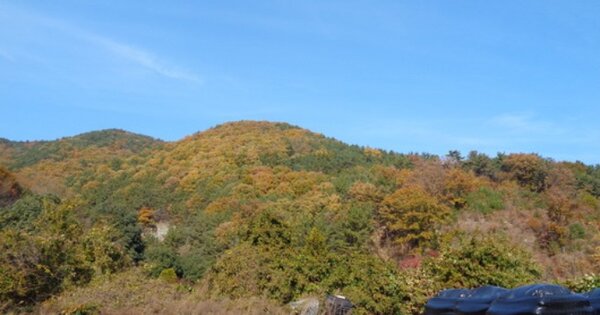 경상남도 창원시 마산합포구 우산동 OOO 임야 경매 물건 이미지