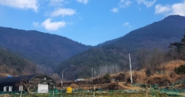 경상남도 창원시 마산회원구 내서읍 안성리 OOO 임야 경매 물건 이미지
