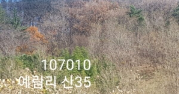 부산광역시 기장군 정관읍 예림리 OOO 임야 경매 물건 이미지