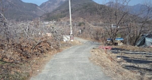 경상남도 밀양시 산내면 봉의리 OOO O OOO 답 경매 물건 이미지