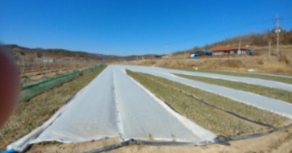 경상북도 영천시 화남면 귀호리 OOOOO 답 경매 물건 이미지