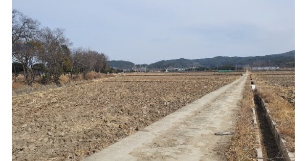 경상북도 경주시 탑동 OOOOO 답 경매 물건 이미지